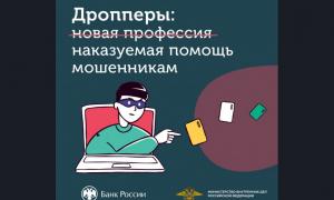 "Кто такой дроппер и как им не стать?"