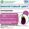 Овощи и фрукты - полезные продукты!